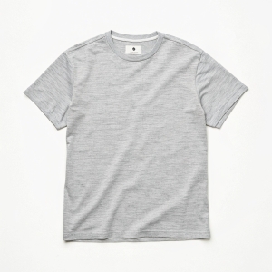 Minimalist Light Gray Crewneck Tee